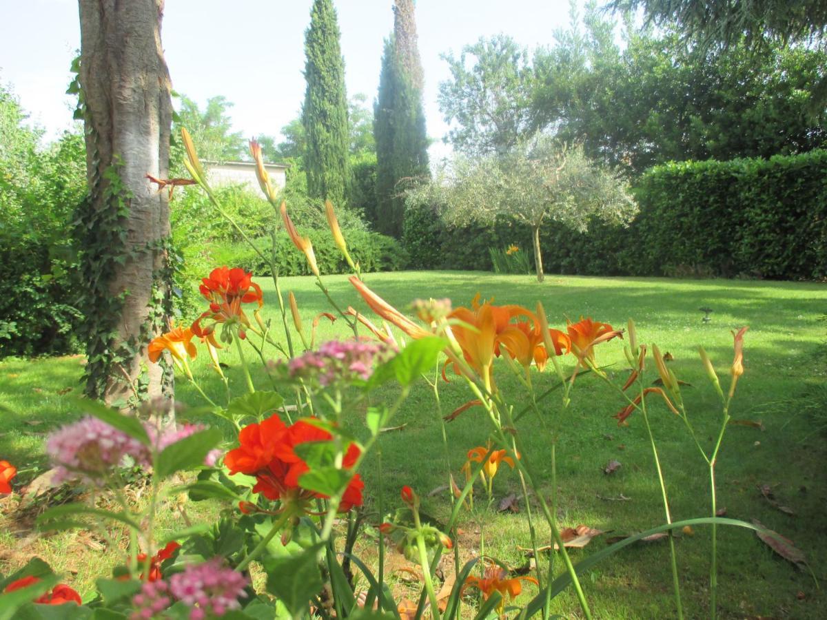 Apartment Near Center,Beach,Bus +Free Parking Zadar Extérieur photo